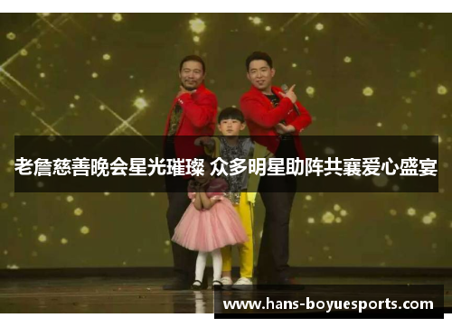 老詹慈善晚会星光璀璨 众多明星助阵共襄爱心盛宴
