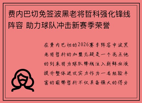 费内巴切免签波黑老将哲科强化锋线阵容 助力球队冲击新赛季荣誉